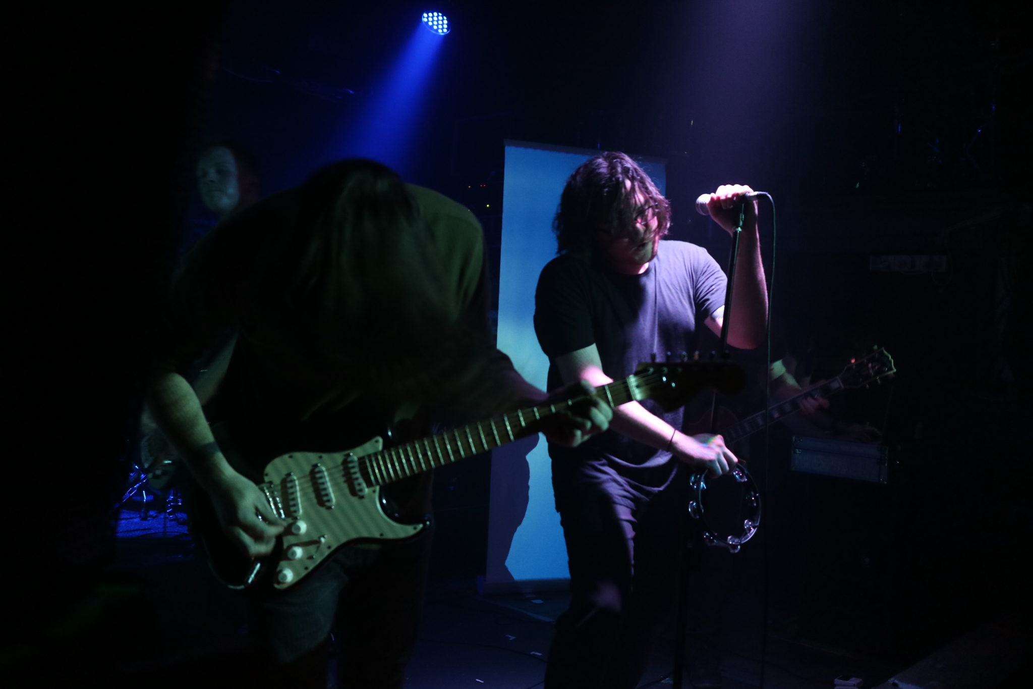 Spook The Horses Valhalla Wellington