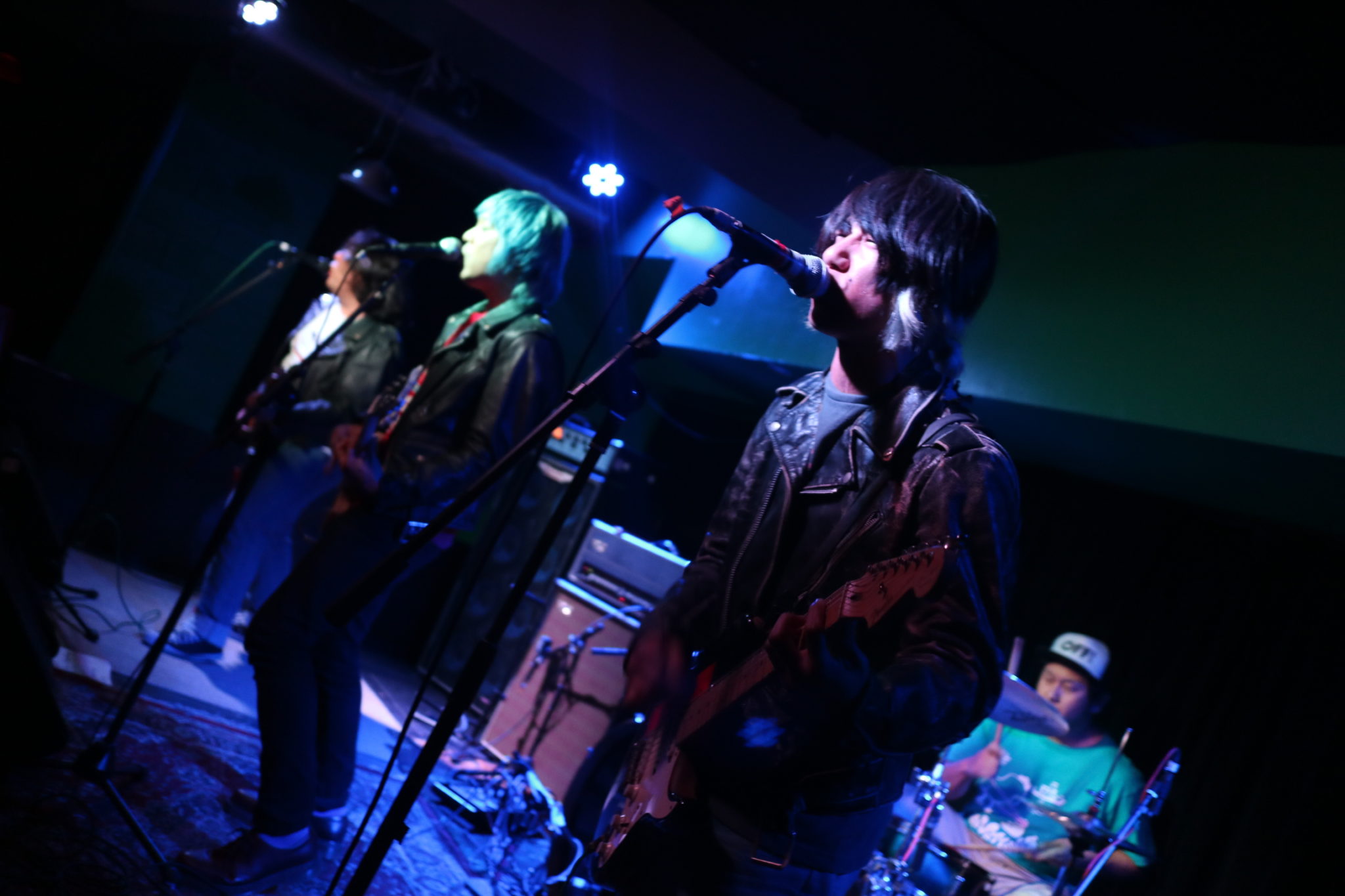 The Vottones Meow 