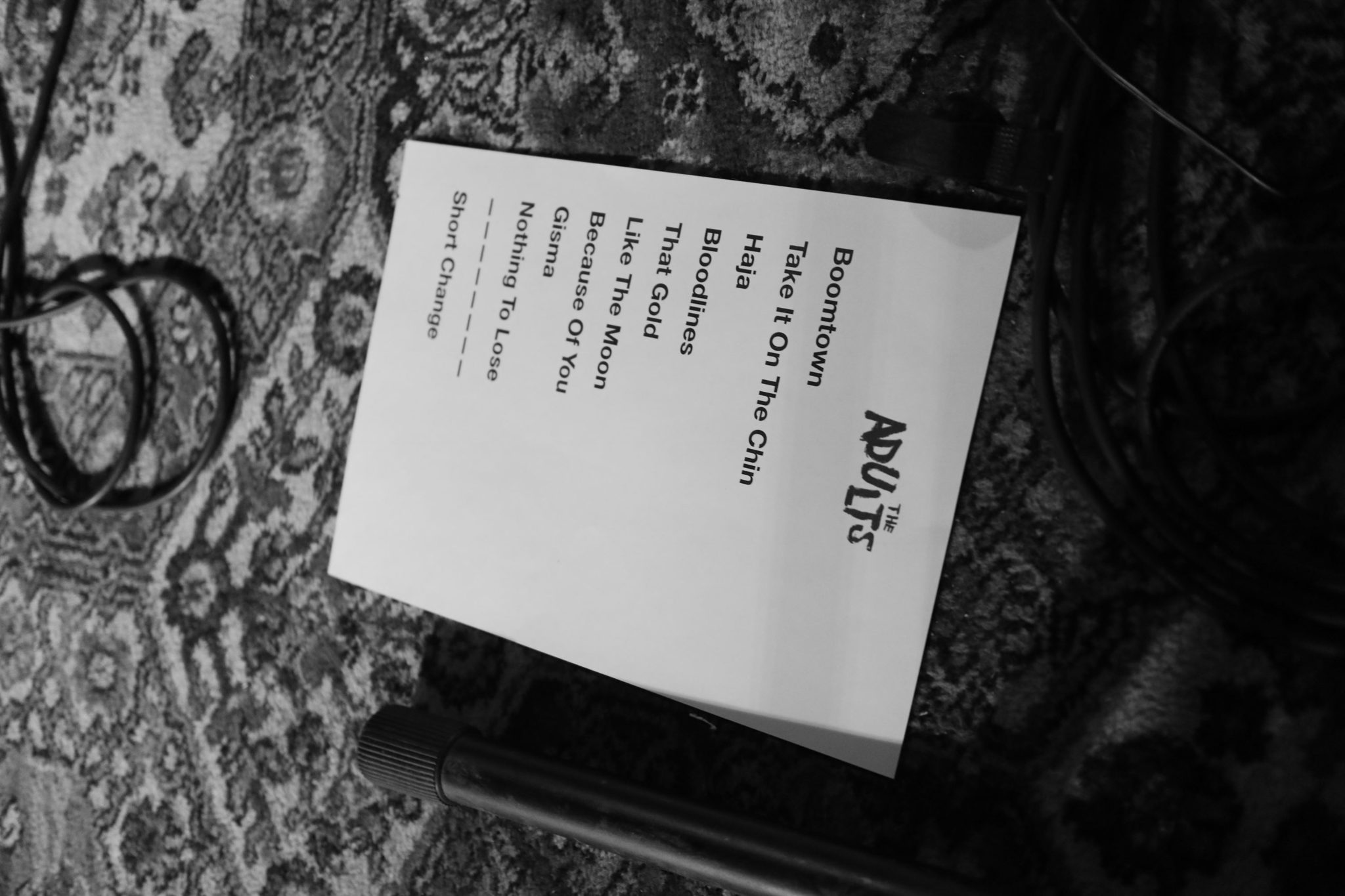 The Adults set list Meow Wellington