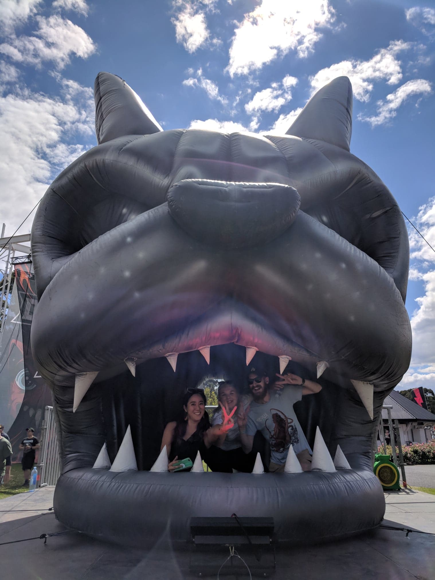 Download Dog