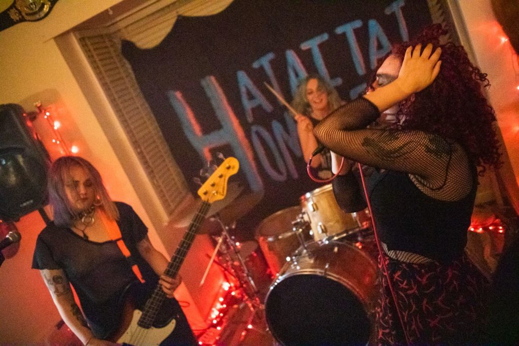Hagseed Hataitai Homewrecker