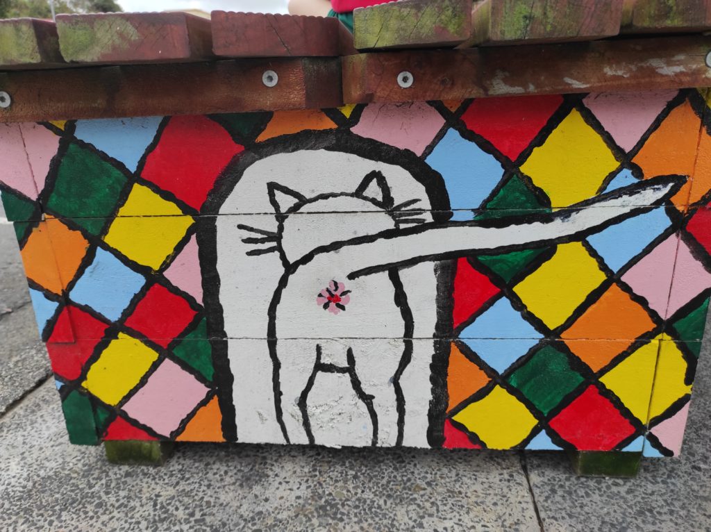 cat butt